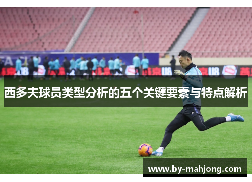 西多夫球员类型分析的五个关键要素与特点解析 西多夫球员类型分析的五个关键要素与特点解析
