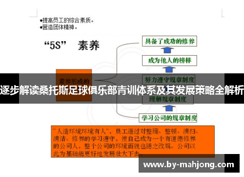 逐步解读桑托斯足球俱乐部青训体系及其发展策略全解析 逐步解读桑托斯足球俱乐部青训体系及其发展策略全解析
